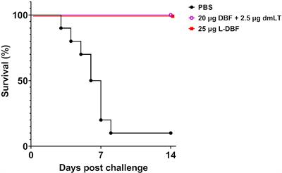 L-DBF Elicits Cross Protection Against Different Serotypes of Shigella spp